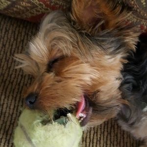 Meet your Posher, Cheryl